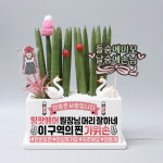 미용실 창업선물 축하화분 귀여운 디자인 실내공기정화식물 산세베리아 스투키 개업 오픈 이전 : 띵팟