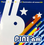 Pine Am (파인 에이엠) / Playing Intense Neutral Electronica Ad Nause AM : RARECD