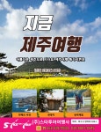 지금, 제주여행 : 스타투어-멤버쉽여행