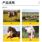 워낭 가축 소 황동 분실 알림종 방목 풍수 목장 바늘 표지판 방울 송아지 : 앨라컴퍼니