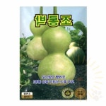 단디 조롱박 씨앗 채소키우기 야채씨 야채씨앗 : 단디프랜드