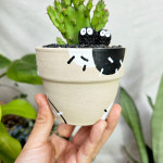 와이키키농장 마블 선인장 미니 화분 전자파 실내 공기정화 귀여운 식물 선물 데스크테리어 : 와이키키 농장