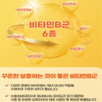 리버케어 플러스 밀크씨슬 건건강 실리마린 비타민B 아연 120캡슐 : 하이민트샵