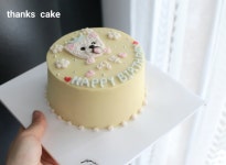 포항떡케이크 앙금플라워 수제떡 생신케잌 부모님 생신 수제케이크 케이크배달 미니미니 : 땡쓰 케이크