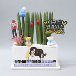 미용실 개업축하 선물하기좋은 디자인화분 키우기쉬운화초 산세베리아 센스있는개업선물 직사각 : 띵팟