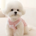 강아지 트위드 베어 멜빵 티셔츠 핑크 S 고양이 애견 봄 여름 실내복 외출복 : 멍냥이동산
