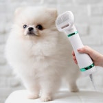 반려동물 그루밍 브러싱 털건조 저소음 안전 펫드라이 반려견 반려묘 펫드라이기 강아지드라이기 : 리얼앙트