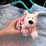 바오피아 인형키링 강아지 자동차 악세사리 굿즈 귀여운 스트랩 : 바오피아