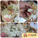 영덕농수산 박달대게 러시아 마가단 대게 수율보장 킹크랩 수입 활대게 3kg : 영덕농수산