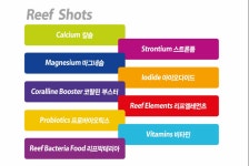 Reef Shot system -아쿠아리움시스템즈 : 카스리프팜