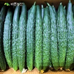 [ 바른농산 ] 국내산 청오이 백오이 다다기오이 못난이 가시오이 외3종 : 바른농산 우리농산