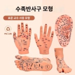 한의원 교육 손바닥 침술 마사지 혈자리모형 : 모두무역상사02