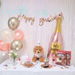 포티박스 강아지 생일파티 고양이 생일상 돌잔치 100일 데이지 파티세트 : 포티박스