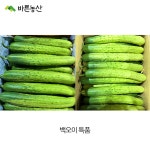 [ 바른농산 ] 국내산 청오이 백오이 다다기오이 못난이 가시오이 외3종 : 바른농산 우리농산