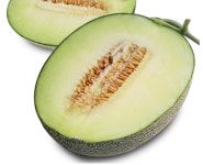 류가네농장 명품메론 : 연두네메론