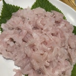 하모 샤브샤브 하모회 갯장어 제철 특품 : 맛청년농수산