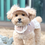 개달당 브라운 퍼피 강아지 고양이 선캡 모자 턱받이 2종 SET : 개달당