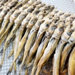 마른안주 맥주안주 마른줄명태(노가리)40마리 : 내츄럴통상