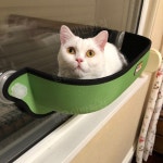 고양이 차량용 창문 해먹 침대 자동차 둥지 바구니 창틀 빨판 여름 캣타워 : 행운이 반한 집