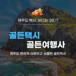 골든여행사 제주도 관광 택시투어/택시렌트 승합차대절/요금 버스대여 등 단체여행 : 골든택시 골든여행사