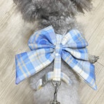 SY몰 리본 리드줄 블루 반려동물하네스 애견산책줄 강아지리드줄 : 포더원몰