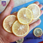 그린 양배추 슬라이서 만능 채칼 다기능 회전 슬라이스 야채 : 잔블리