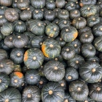 미니 밤호박 단호박 못난이 로얄 보우짱 2kg 4kg : 해남형제