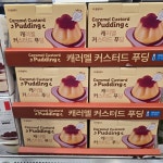 코스트코 캐러멜 커스터드 푸딩 120g x 8 풍림푸드 아이스박스 디저트 간식 : 넘버원코스트코구매대행