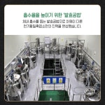 천기 황칠흑염소 액기스 십일전대보천 70ml x 30포 (전용 쇼핑백포함) : 동명티엔지