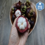 열대과일 망고스틴 생과 : 철따라농산물
