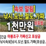 [긴급 쇼핑속보]아붕조구 가짜 비상 제품조심 .인터넷 온라인 수많은  판매 거래처.가격 차이가 크다 의심.가짜 제보 포상금 수여.우동빨판... 