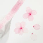 일본 bande 반데 벚꽃 꽃잎 마스킹테이프 A타입 : 지미노샵