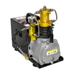 TUXING TXES022 4500Psi 300Bar PCP 공기 압축기 고압 공기 압축기 PCP 에어건 라이플용 조정 가능한 제어-자동 정지 : 세천마켓