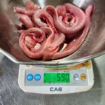 부산 자갈치 생물 손질 꼼장어 곰장어 볶음 구이 밀키트 소스 포함 1kg : 시엘리 마켓