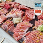 영덕농수산 블럭 대뱃살 참치회 참치세트 참다랑어 오마카세 튜나 참치 : 영덕농수산