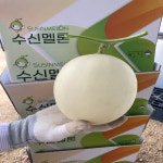 고당도 천안 수신 메론 홈런스타 멜론 5kg : 상훈이집
