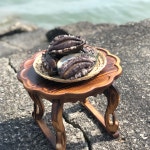 완도 활전복 13미 1kg 생산자직송 당일작업 꼬마전복 특대 전복 횟감용 찜 구이 : 완도남매수산