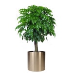 스텐화분 304 숨구멍 원통형 메탈 배수 큰나무 꽃가게 : 남다른스토어