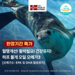 오메가3 노르웨이 하프물개 오메가3효능 고함량 프리미엄 셀올예 120캡슐 2개월 : 레알마트