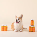 [임박26.01이후] 유한양행 윌로펫 저칼로리 가수분해간식 The 건강한 노즈워크볼 연어, 200g, 1개 : 유한양행 펫스토어