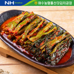 여수 돌산 갓김치 전라도식 국내산 김치 2kg : 더싱싱