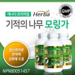 허바 모링가 180정 (HERBA - MORINGA) : 투비영mall