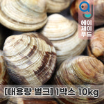 [대용량] 살아있는 활 백상합 10kg (백생합 중국산 생물 냉장 구이 찜 탕 백합조개) : 에이제이푸드