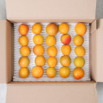 영천 살구 하코트 하코드 만금 살구 1kg 2kg : 봉이네농수산
