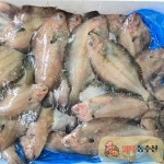 국내산 생물 미주구리2kg 자연산 기름 가자미 구이용 조림용 : 영덕농수산