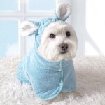 강아지 고양이 수건 목욕 가운 용품 샤워 : 우디젠트