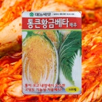 통큰황금베타배추씨앗 500립 1봉 항암 황금배추 대농 : 태웅씨앗자재마트