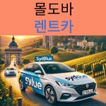 몰도바 주요공항 렌트카 (사전예약제) : 시드블루