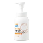 샤본다마 바디거품솝 570ml : 은수네집