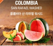 콜롬비아 산 라파엘 워터멜론 100g : 타임리스 커피랩